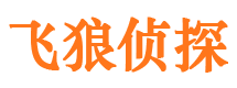 琼中市调查公司